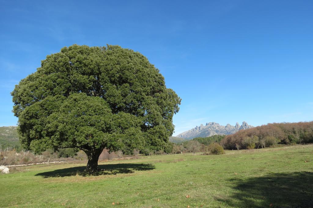 Sole E Monti Otel Quenza Dış mekan fotoğraf